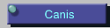 Canis