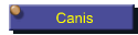 Canis